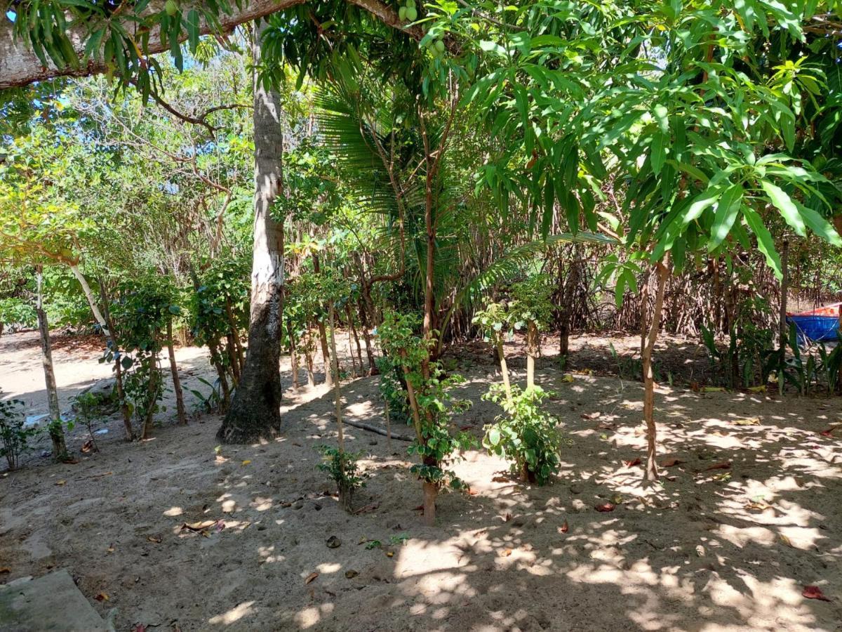 Cabana Playa Cambiaso Acomodação com café da manhã Puerto Plata Exterior foto